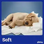 Kleenex Complete Clean Toilet Paper 60 Count (1x60 Rolls) - Packaging May Vary - Image 5