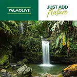 Palmolive Naturals Body Wash, Value Pack (3 x 1L) - Image 2